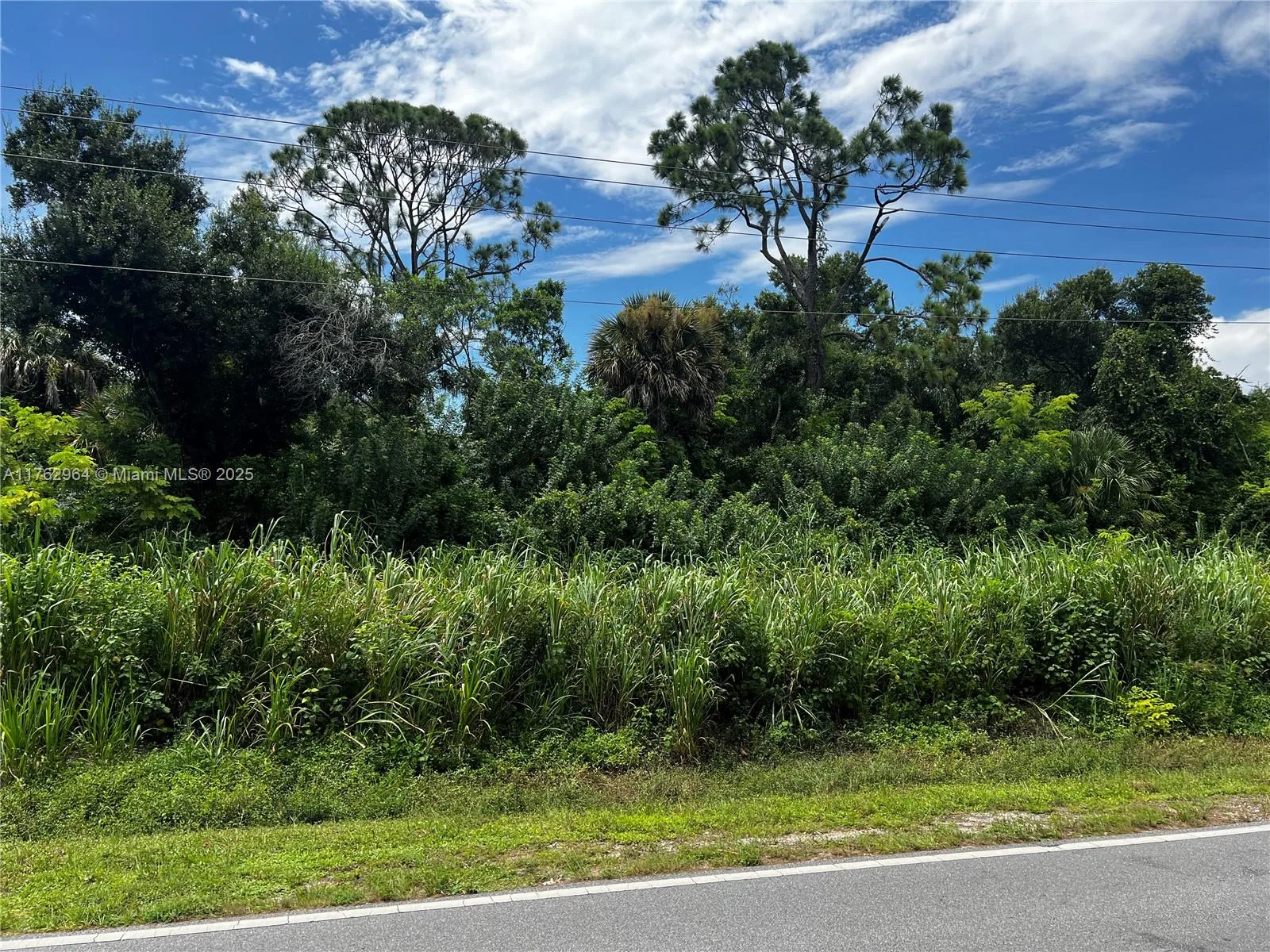 1813 Corbett Road, Cape Coral, FL 33909