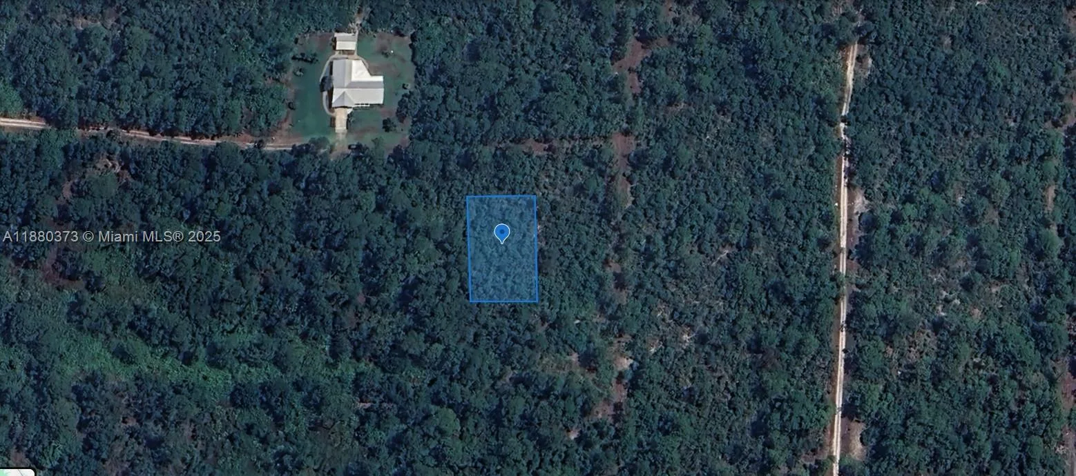 233 + 232 Caswell + Colleen Lane, Lake Placid, FL 33852 photo 4