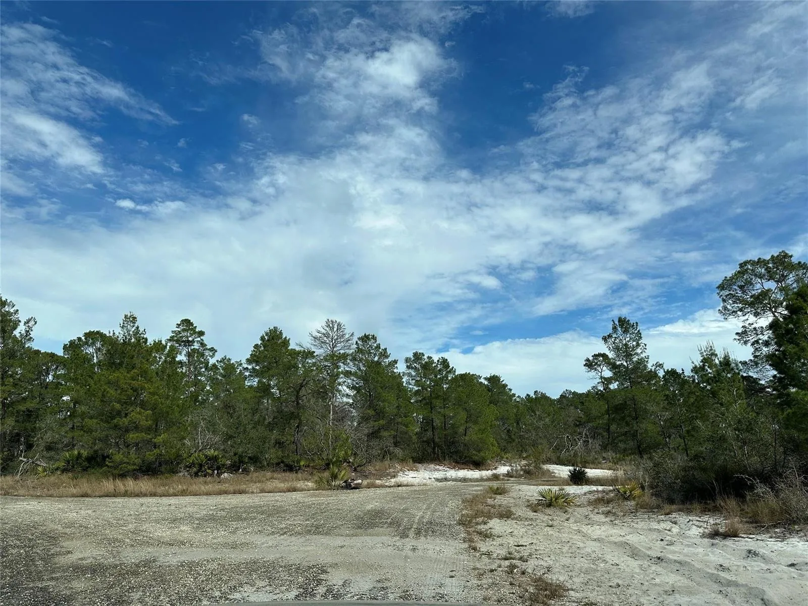 4508 Briarcliff Avenue, Sebring, FL 33875 photo 2