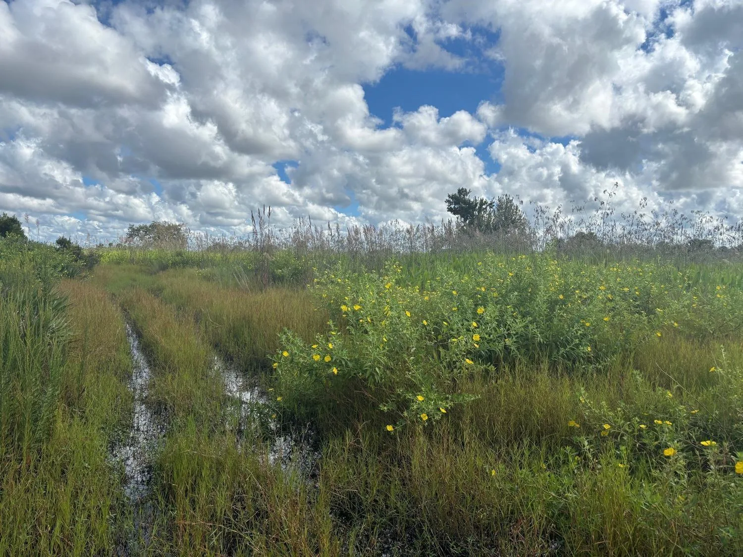 0 NW 316th Street, Okeechobee, FL 34972
