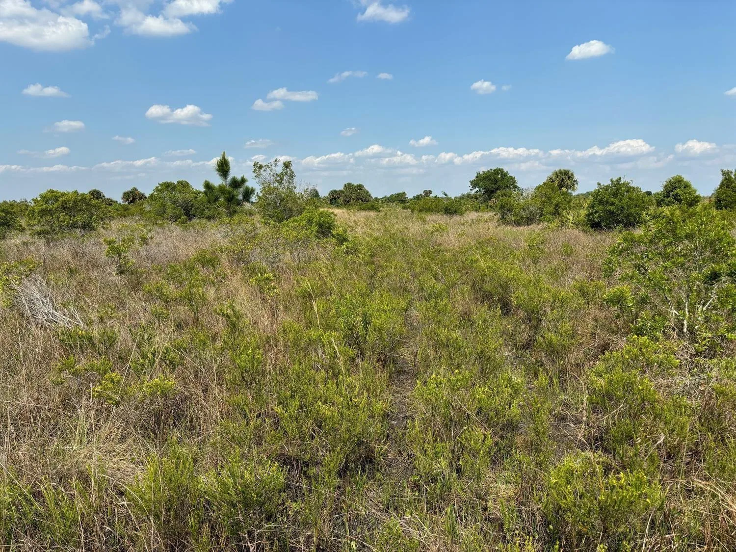 0 NW 320th Street, Okeechobee, FL 34972