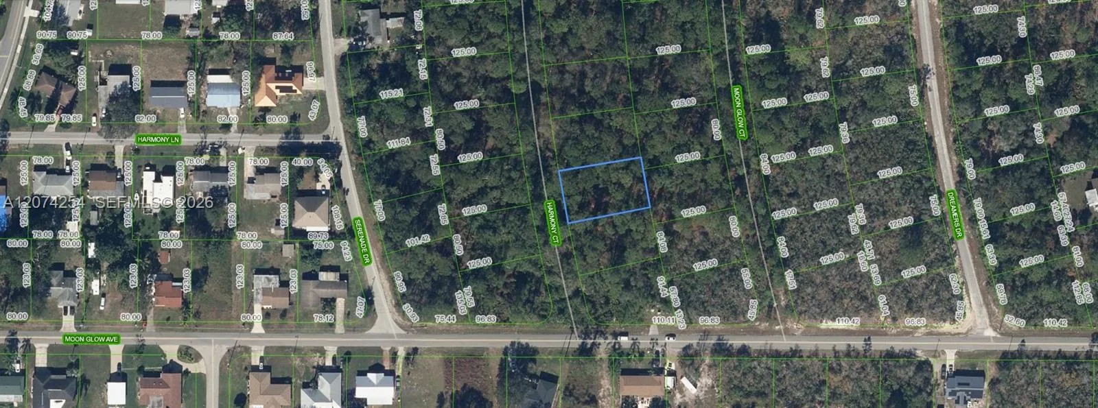 209 Harmony Court, Lake Placid, FL 33852