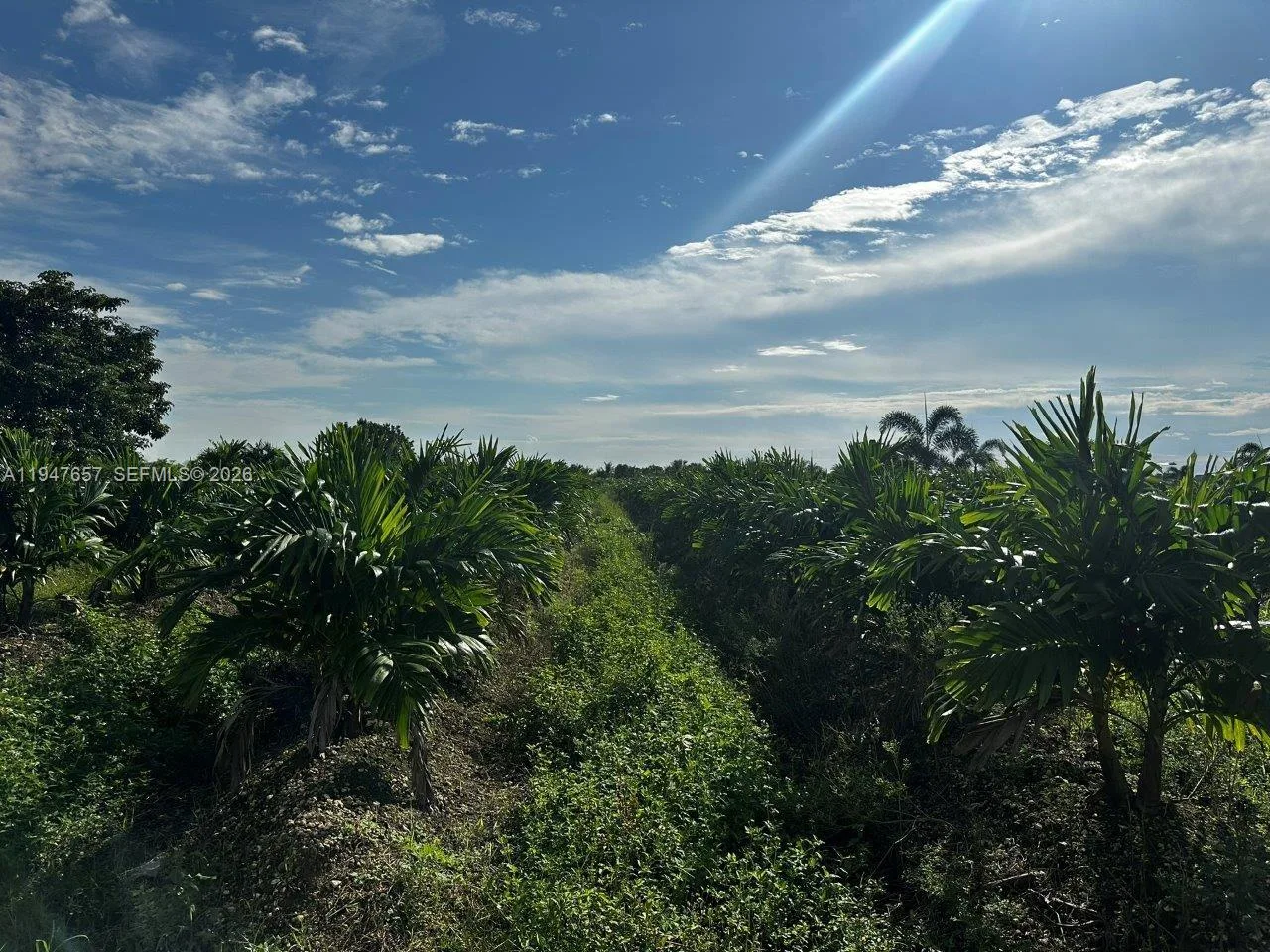 19051 SW 372 ST., Homestead, FL 33034 photo 8