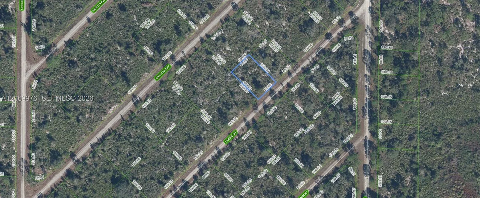 3451 Lake June, Lake Placid, FL 33852