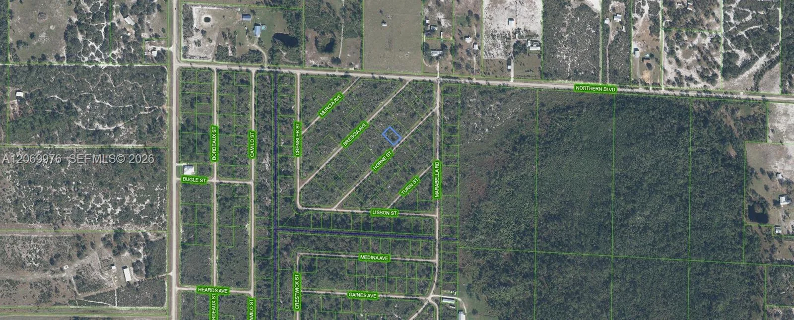 3451 Lake June, Lake Placid, FL 33852 photo 2