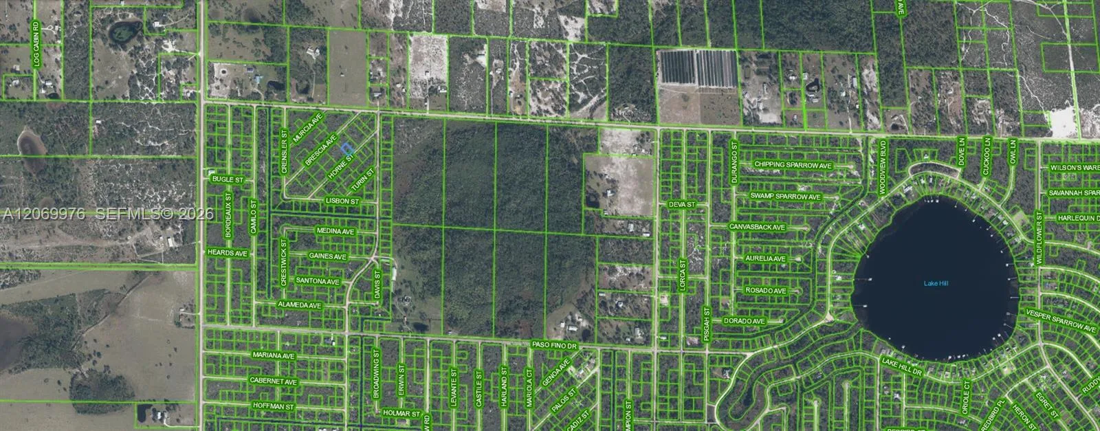 3451 Lake June, Lake Placid, FL 33852 photo 3