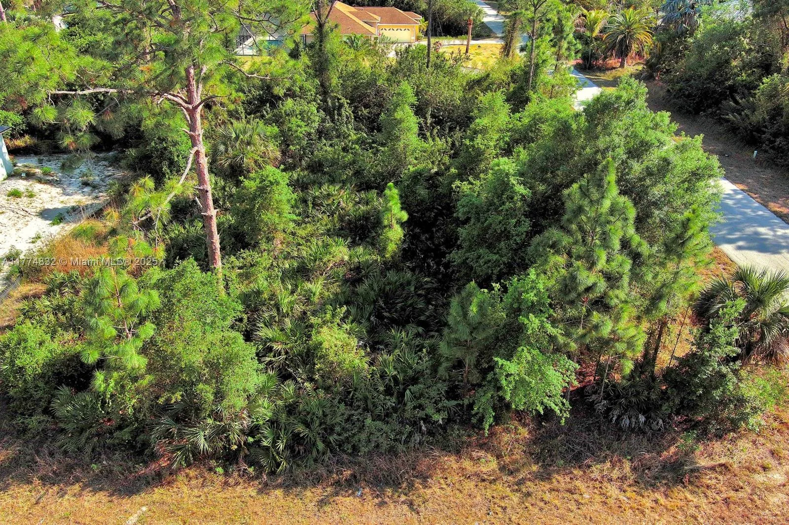 2500 E 9th St, Lehigh Acres, FL 33936 photo 5