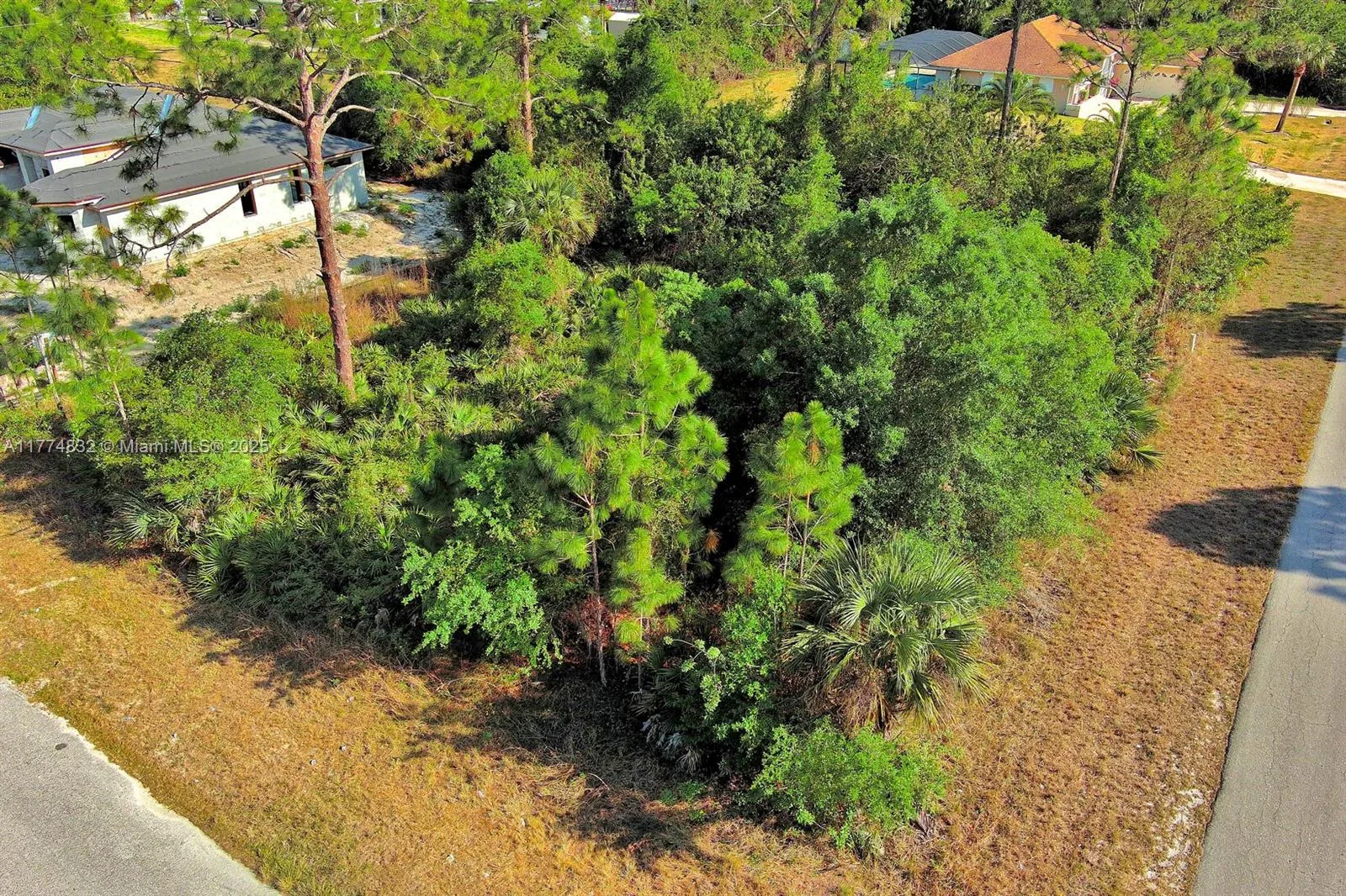2500 E 9th St, Lehigh Acres, FL 33936 photo 6