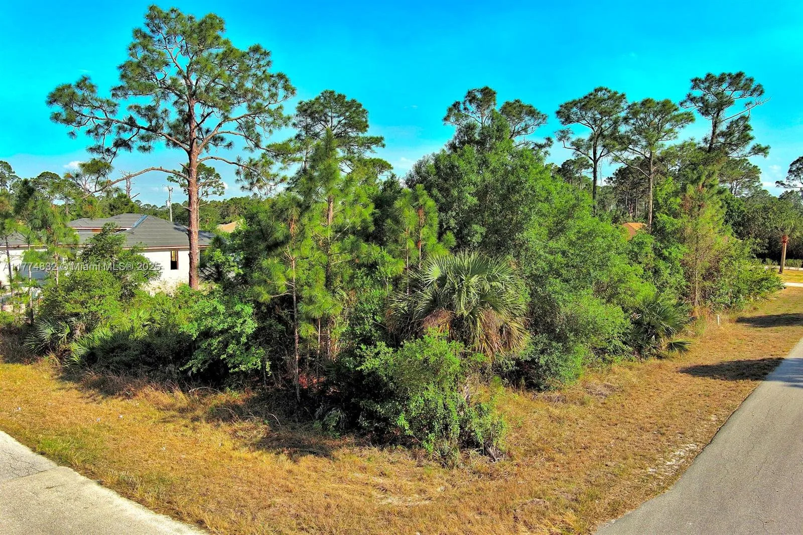 2500 E 9th St, Lehigh Acres, FL 33936 photo 7