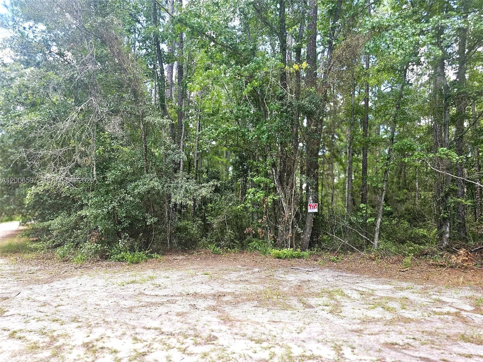 No situs SE 2nd ST, Palatka, FL 32177 photo 2
