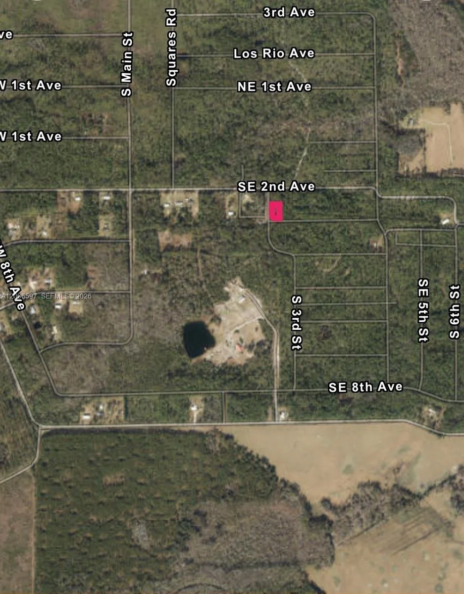 No situs SE 2nd ST, Palatka, FL 32177 photo 5
