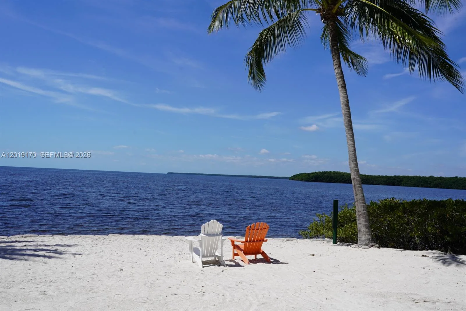 6206 Paradise Point Dr, Palmetto Bay, FL 33157 photo 4