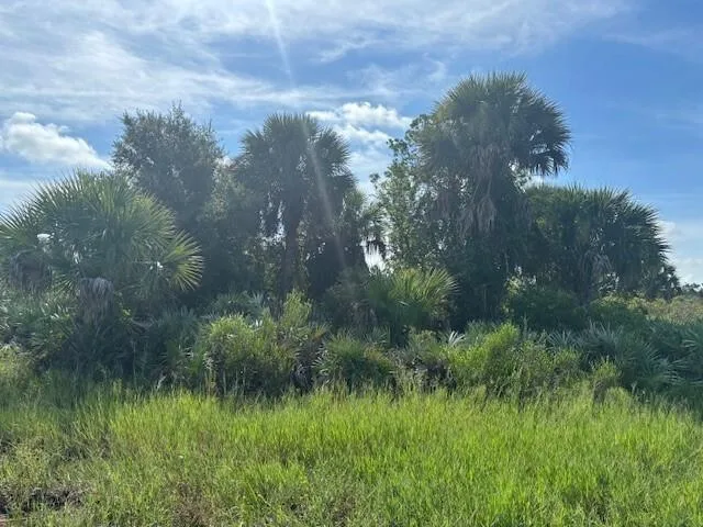 0 NW 308th Street, Okeechobee, FL 34972