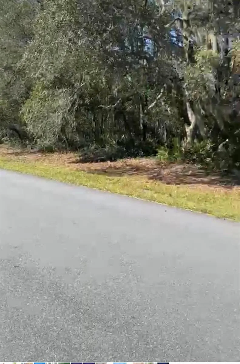 4017 SW 133rd Loop, Ocala, FL 34473 photo 3