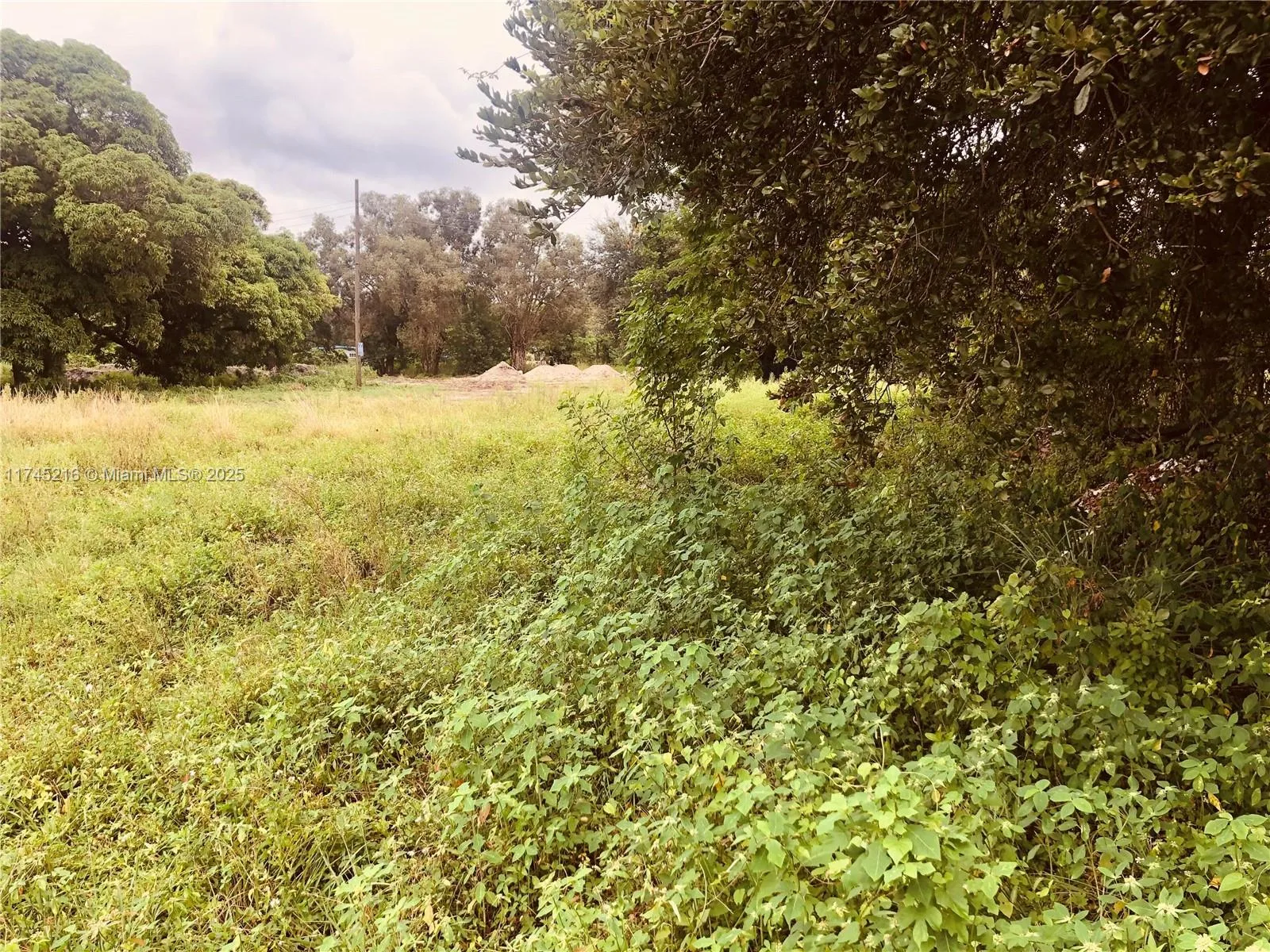 147 NW 31st Ave, Lauderhill, FL 33311 photo 4