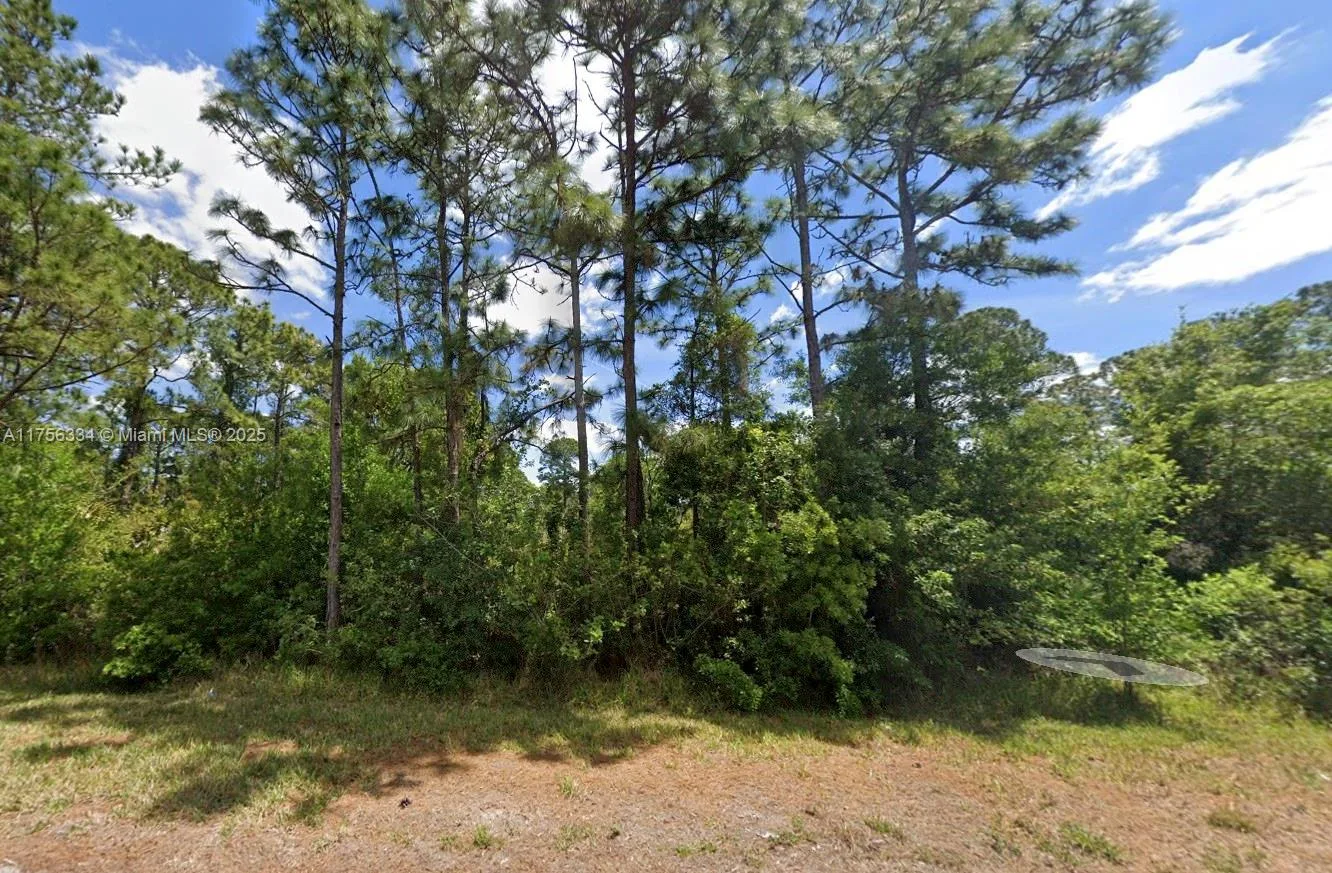 354 Wildcat St, Lake Placid, FL 33852