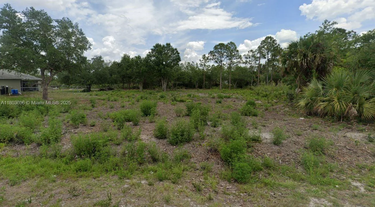 1020 JAMES AVE, Lehigh Acres, FL 33936 photo 2