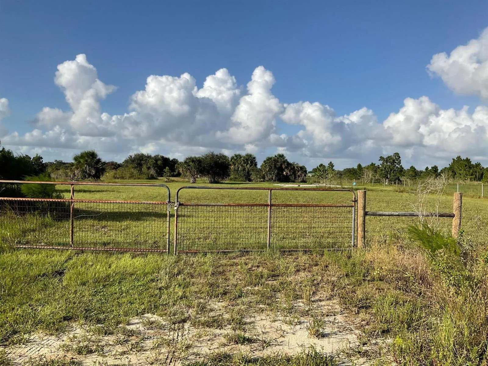 17229 NW 314th Street, Okeechobee, FL 34972