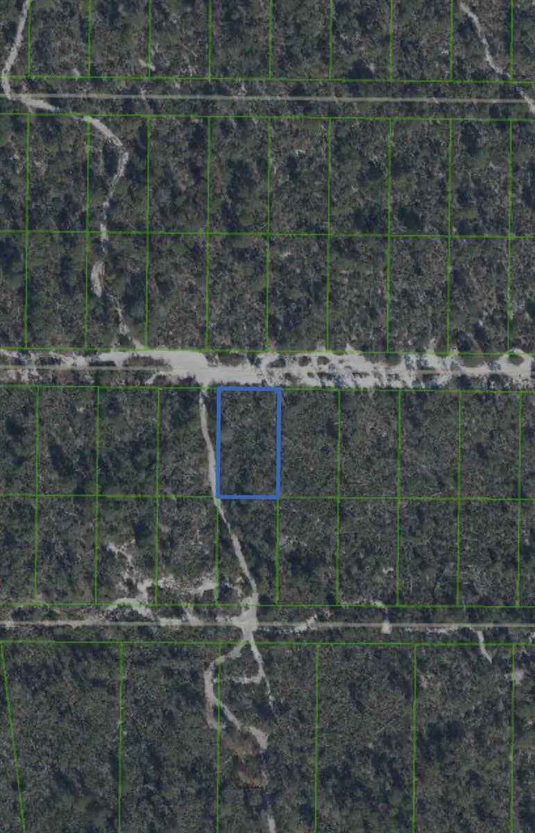 2221 Iris Avenue, Sebring, FL 33875