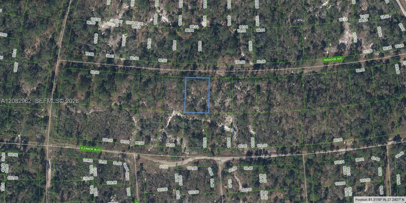 359 Paradise Ave, Lake Placid, FL 33852