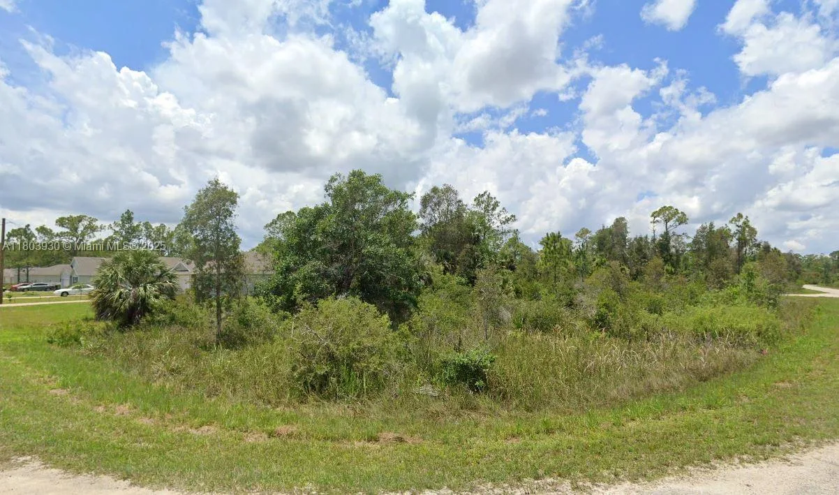 1935 HOLYOKE AVE, Lehigh Acres, FL 33972 photo 2