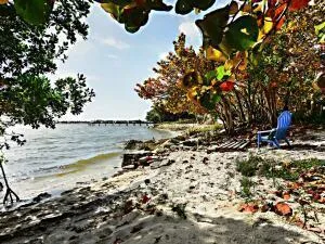 4220 NE Indian River Dr. Drive # #2, Jensen Beach, FL 34957 photo 11