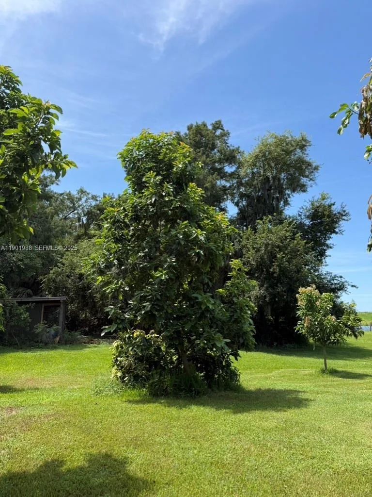 12600 SW Conners Highway, Okeechobee, FL 34974 photo 11