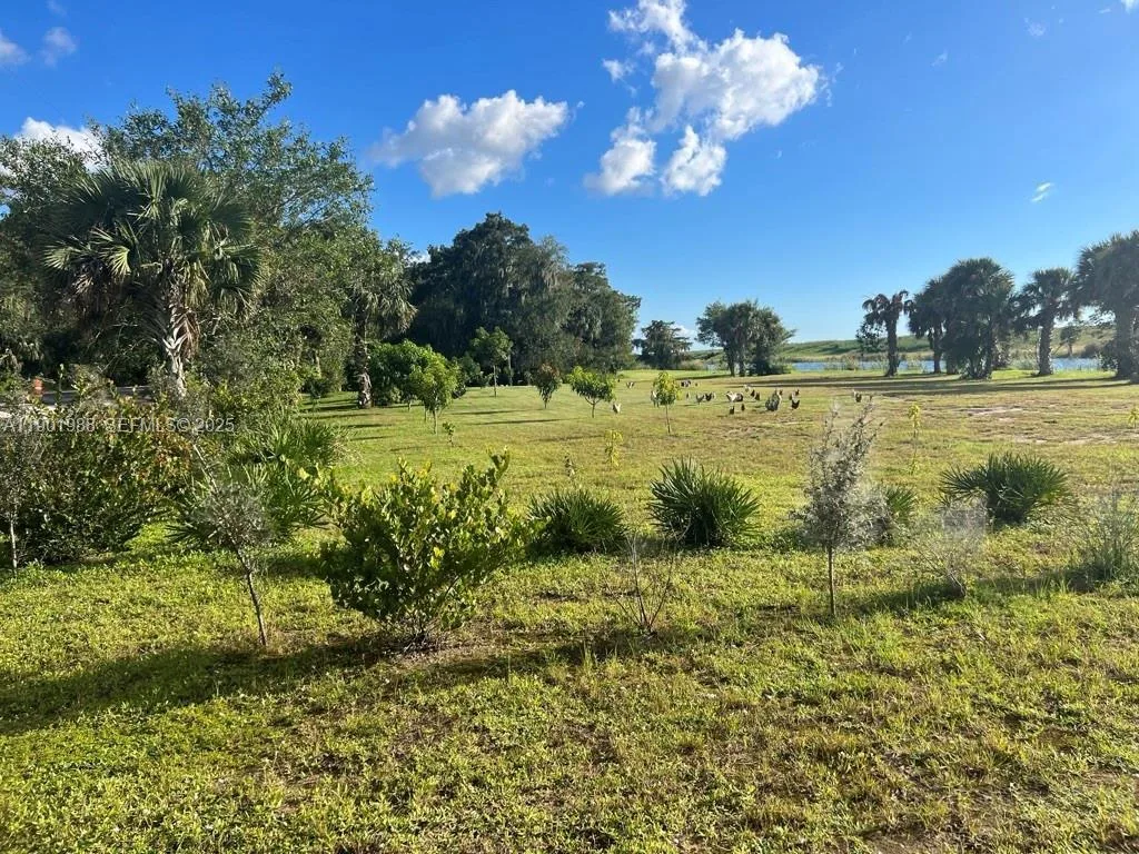 12600 SW Conners Highway, Okeechobee, FL 34974 photo 4