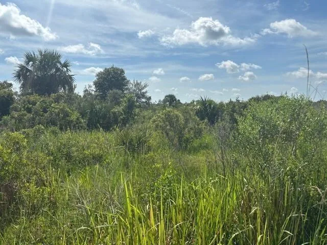0 NW 312th Street, Okeechobee, FL 34972