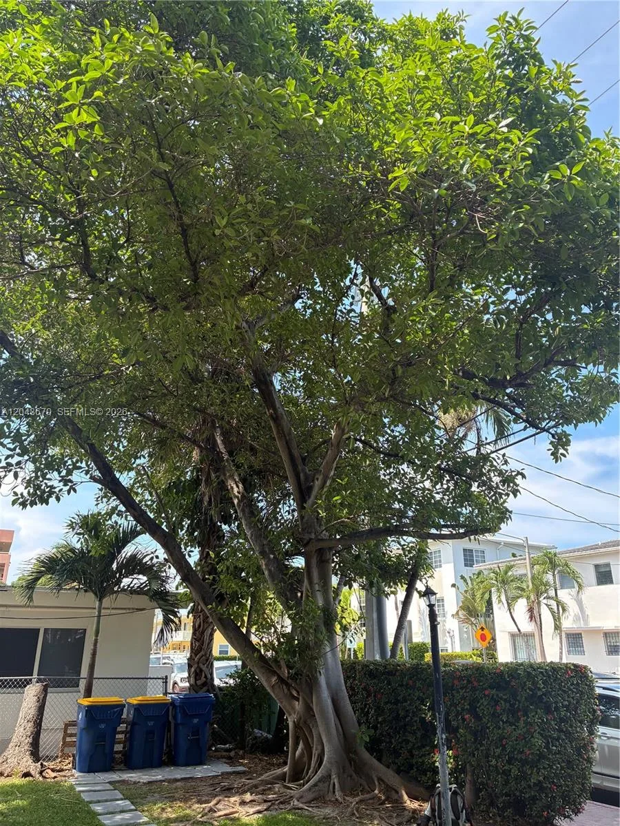 8020 Abbott Ave # 6, Miami Beach, FL 33141 photo 2