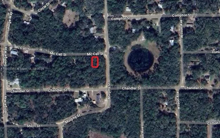0 McCALL ST, Other City - In The State Of Florida, FL 32148