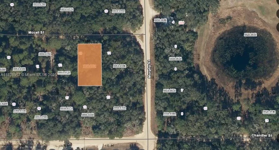0 McCALL ST, Other City - In The State Of Florida, FL 32148 photo 2