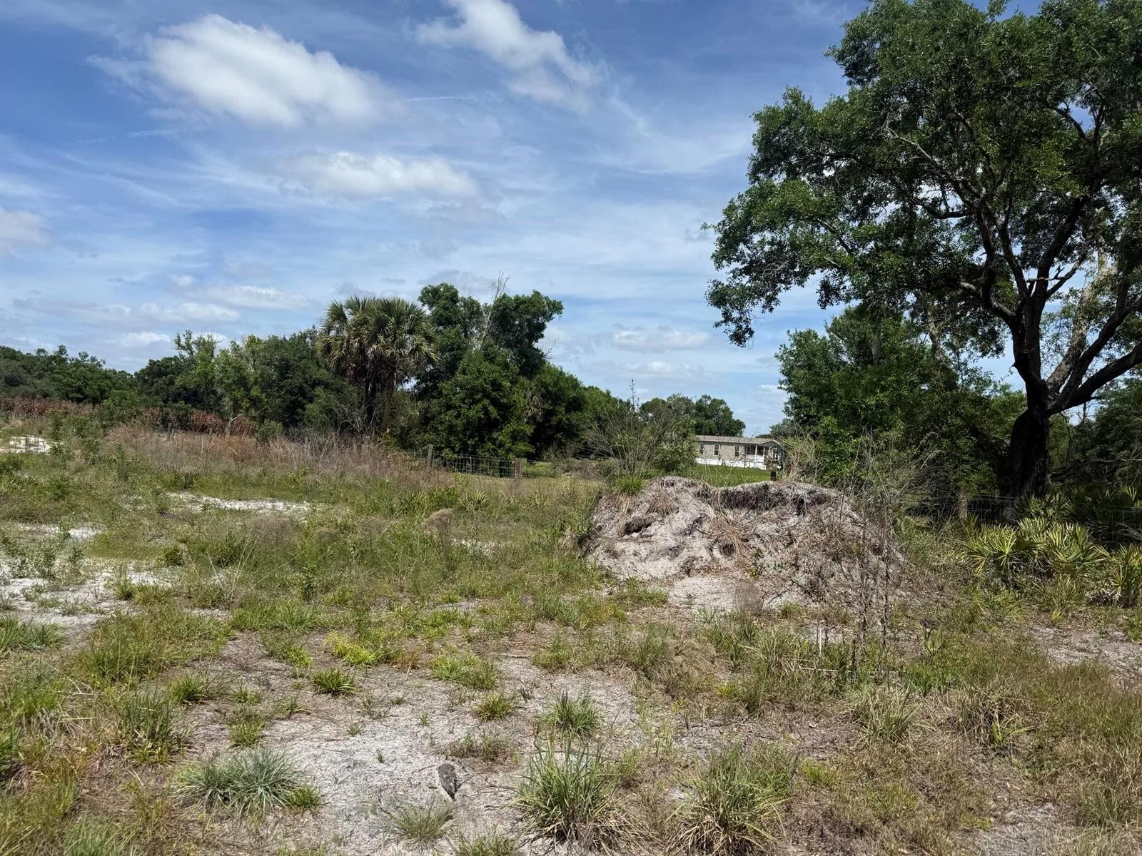 18121 NW 256th Street, Okeechobee, FL 34972 photo 3