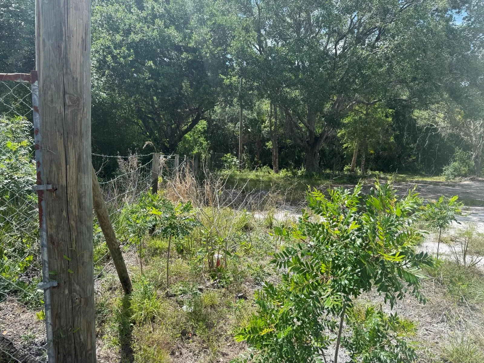 18121 NW 256th Street, Okeechobee, FL 34972 photo 5