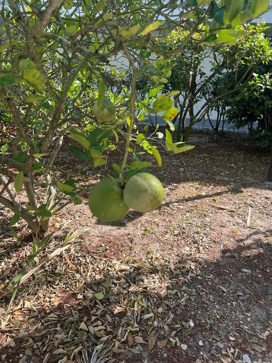 2302 Sunrise # 3-201, Fort Pierce, FL 34949 photo 4