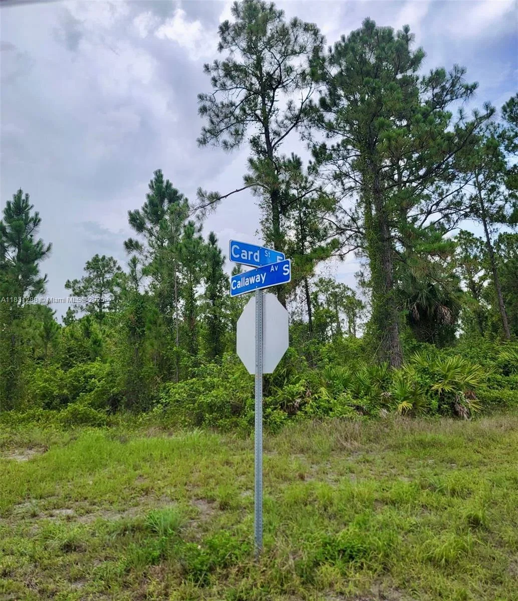 1017 Card St E, Lehigh Acres, FL 33874 photo 3