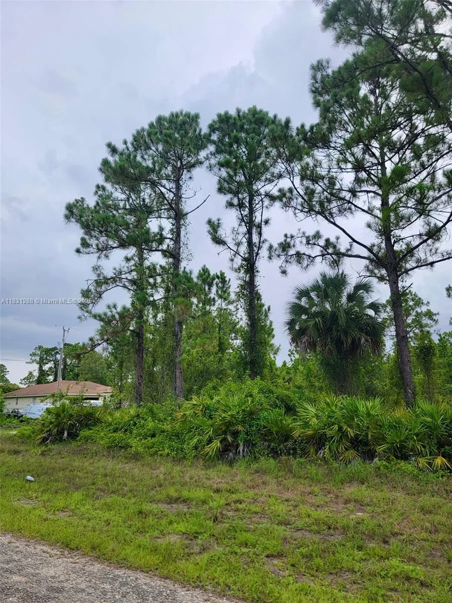 1017 Card St E, Lehigh Acres, FL 33874 photo 4
