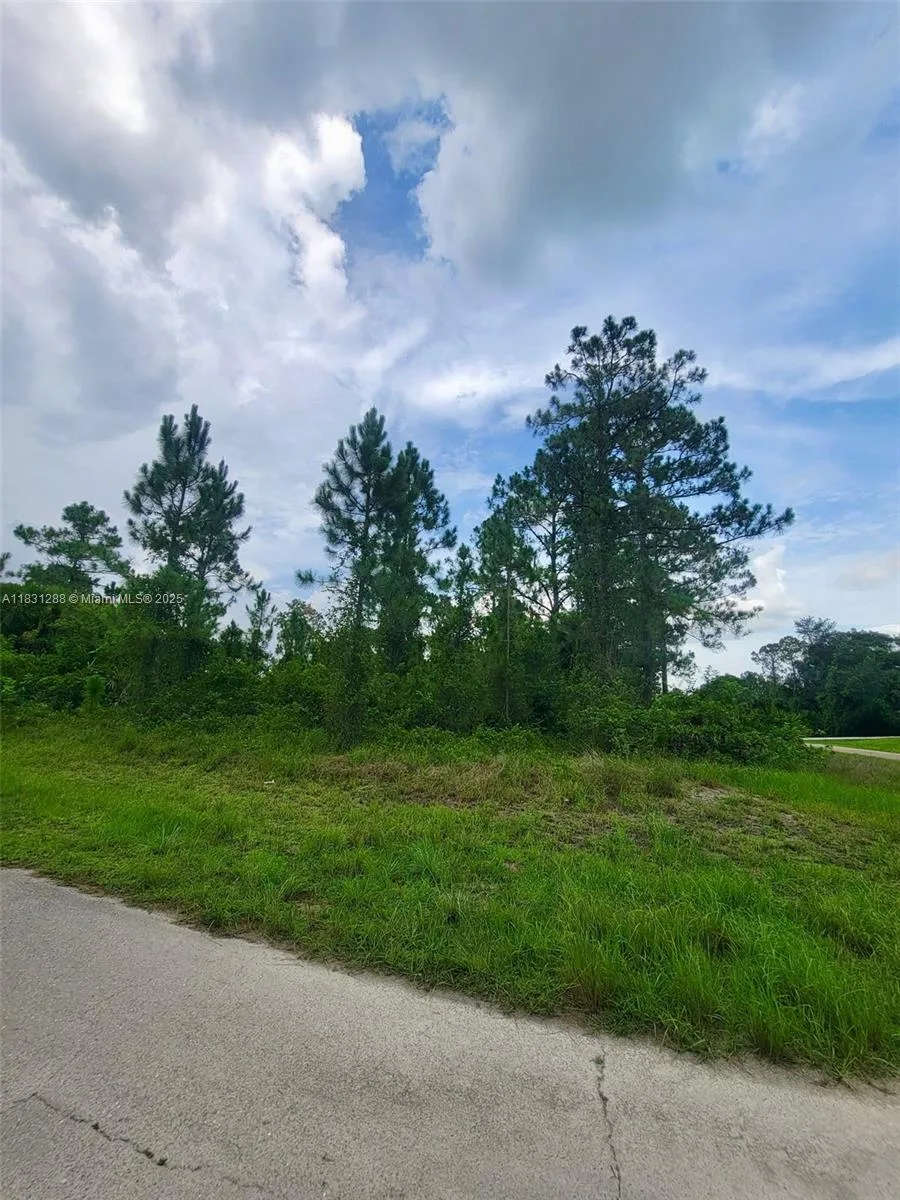 1017 Card St E, Lehigh Acres, FL 33874 photo 5