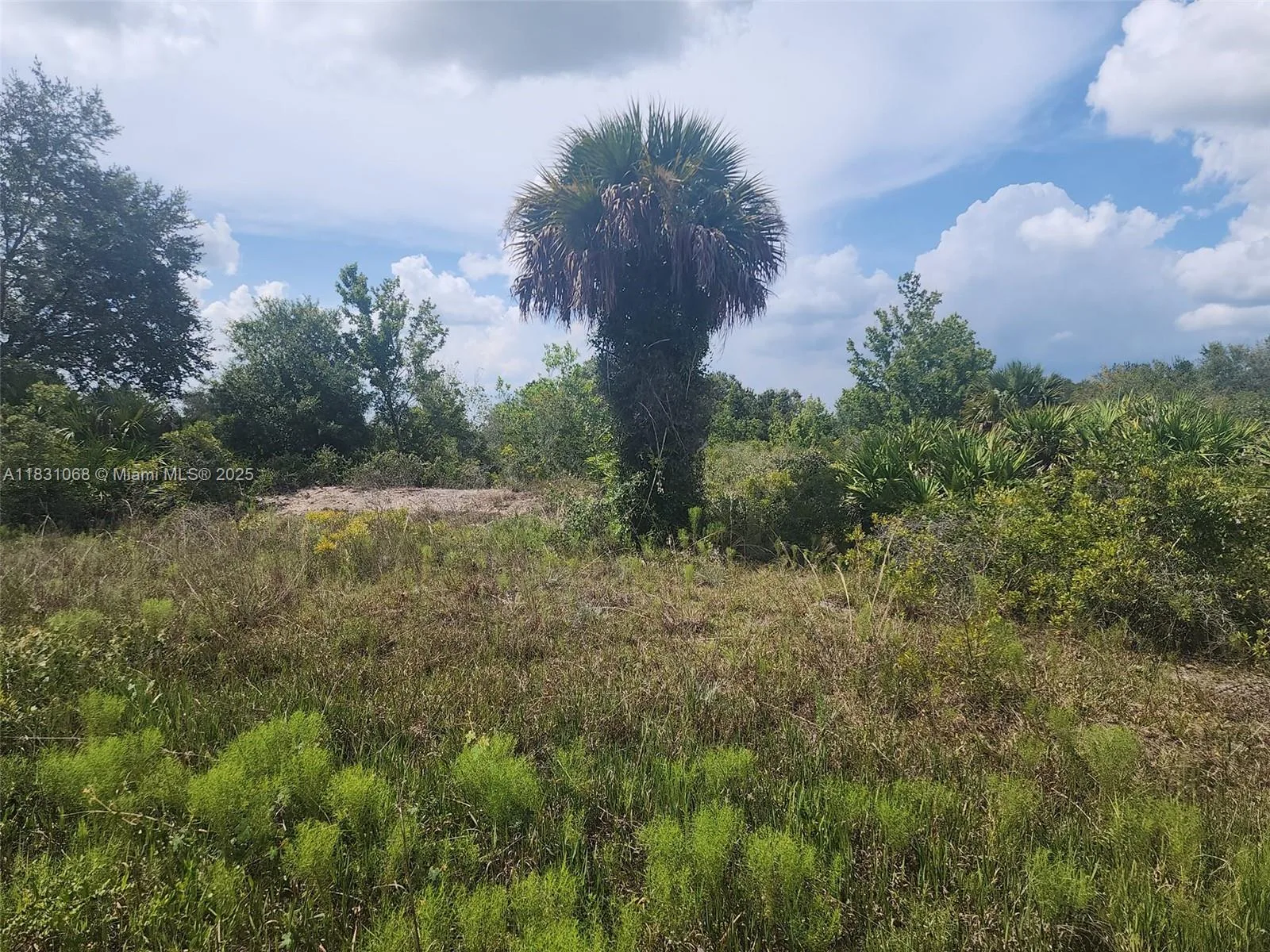 17823 NW 286 st, Other City - In The State Of Florida, FL 34972 photo 2