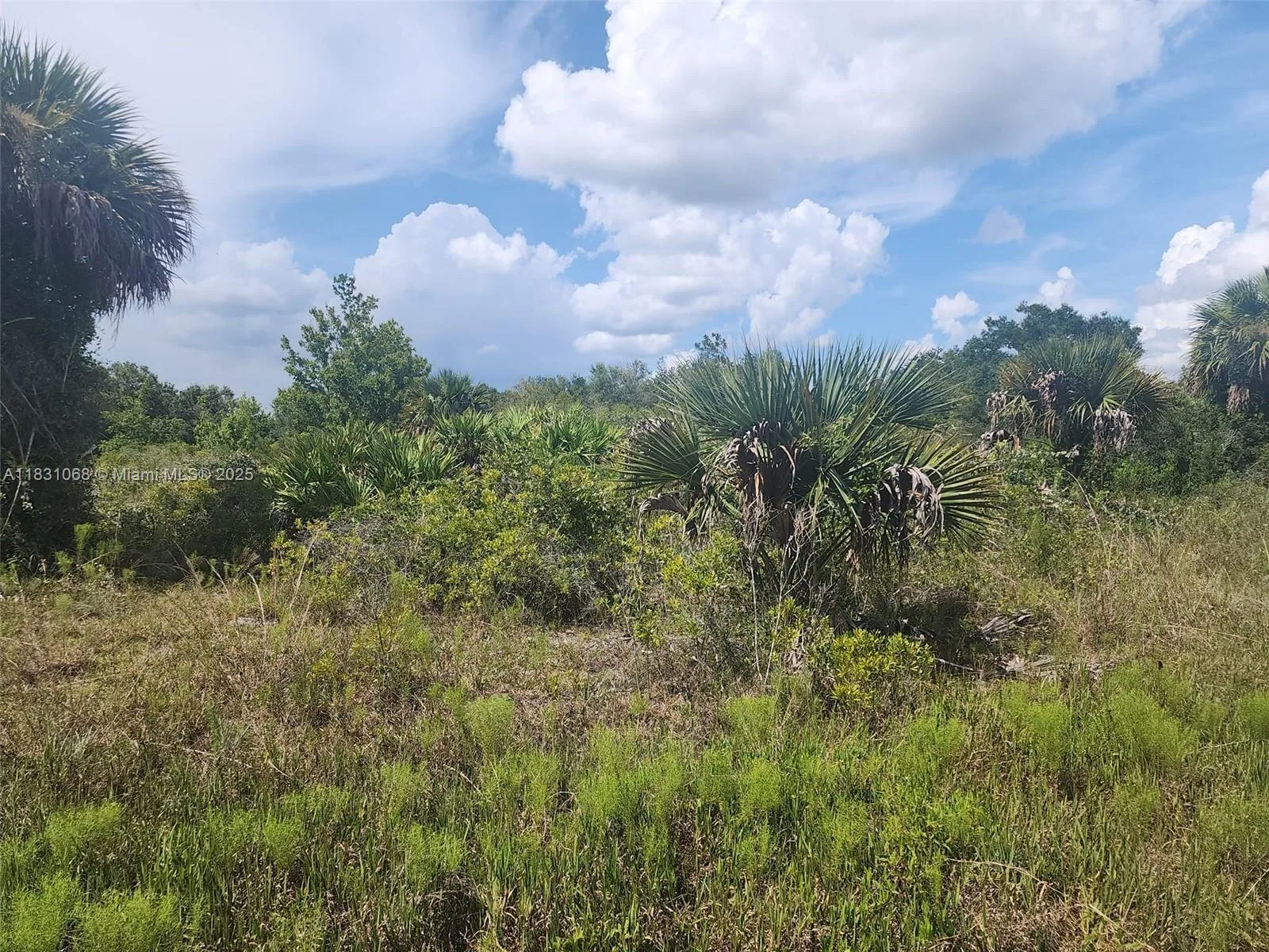 17823 NW 286 st, Other City - In The State Of Florida, FL 34972 photo 5
