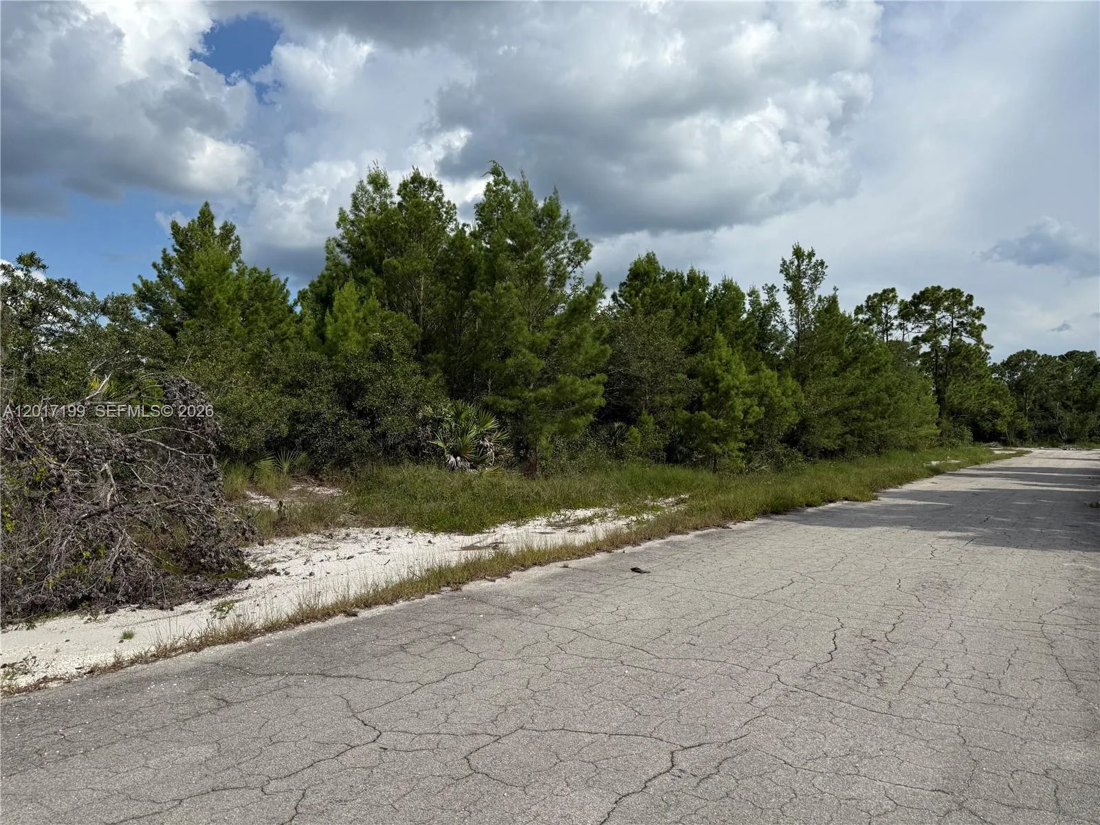 1518 Mangrove Street, Lake Placid, FL 33852 photo 2