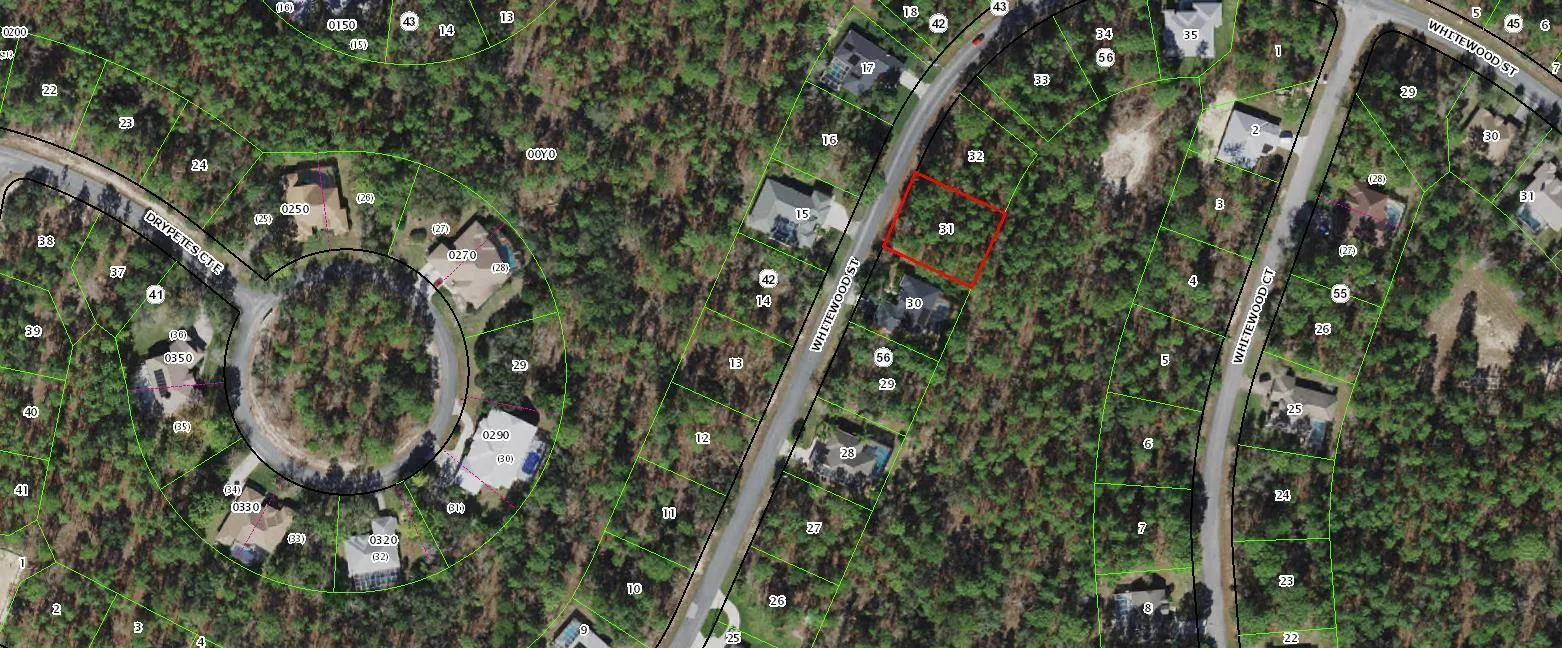 67 Whitewood Street, FL 34446