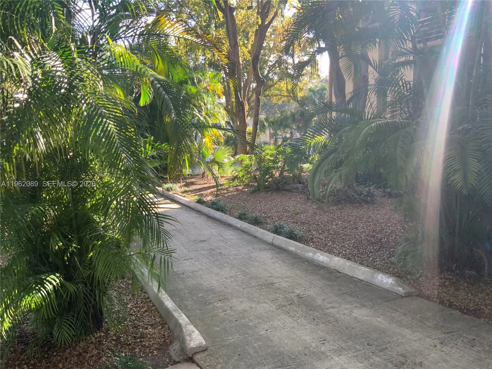 469 N Pine Island Rd # B305, Plantation, FL 33324 photo 6