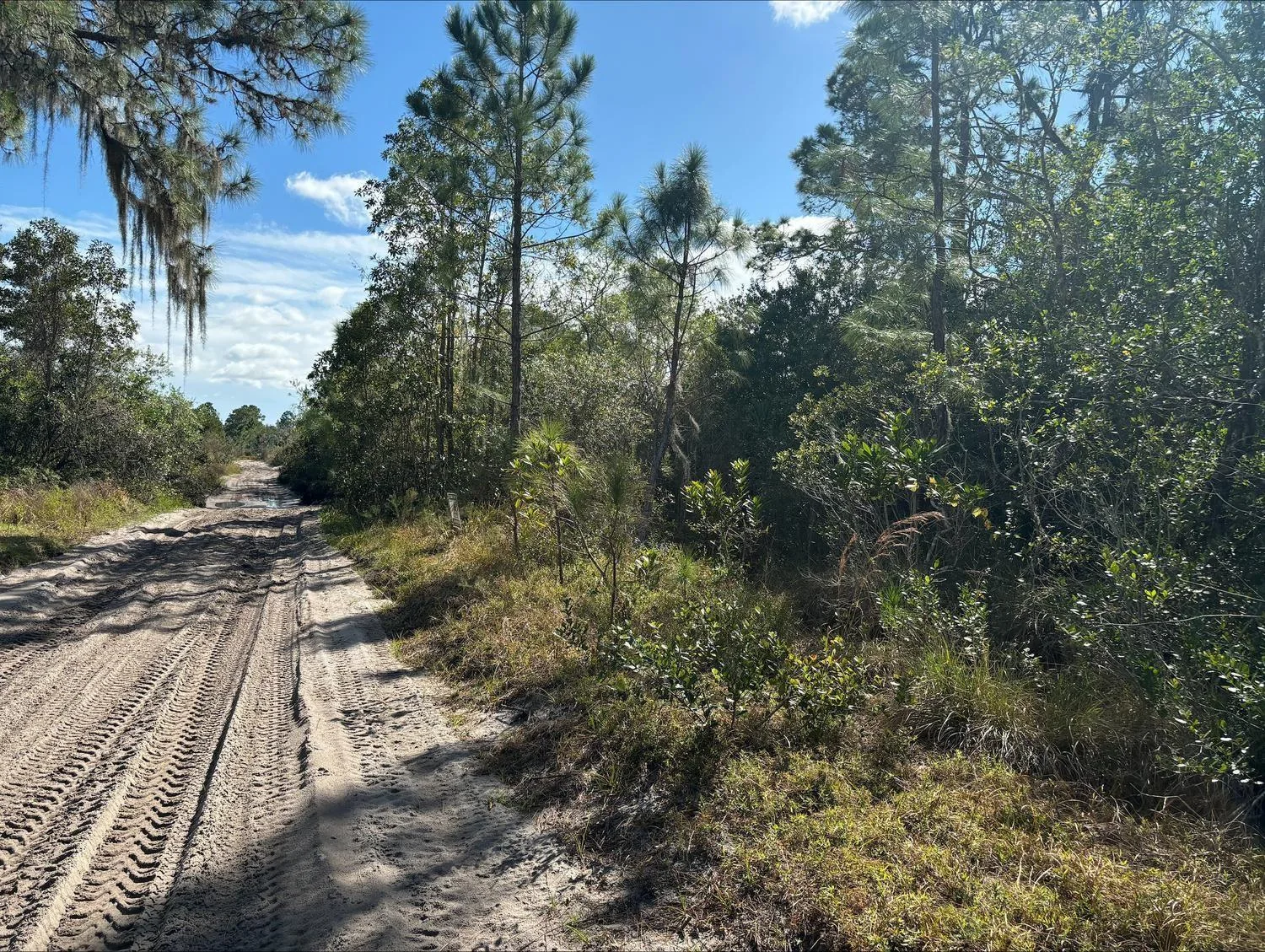 0 Jackson Street, Lake Wales, FL 33898 photo 2