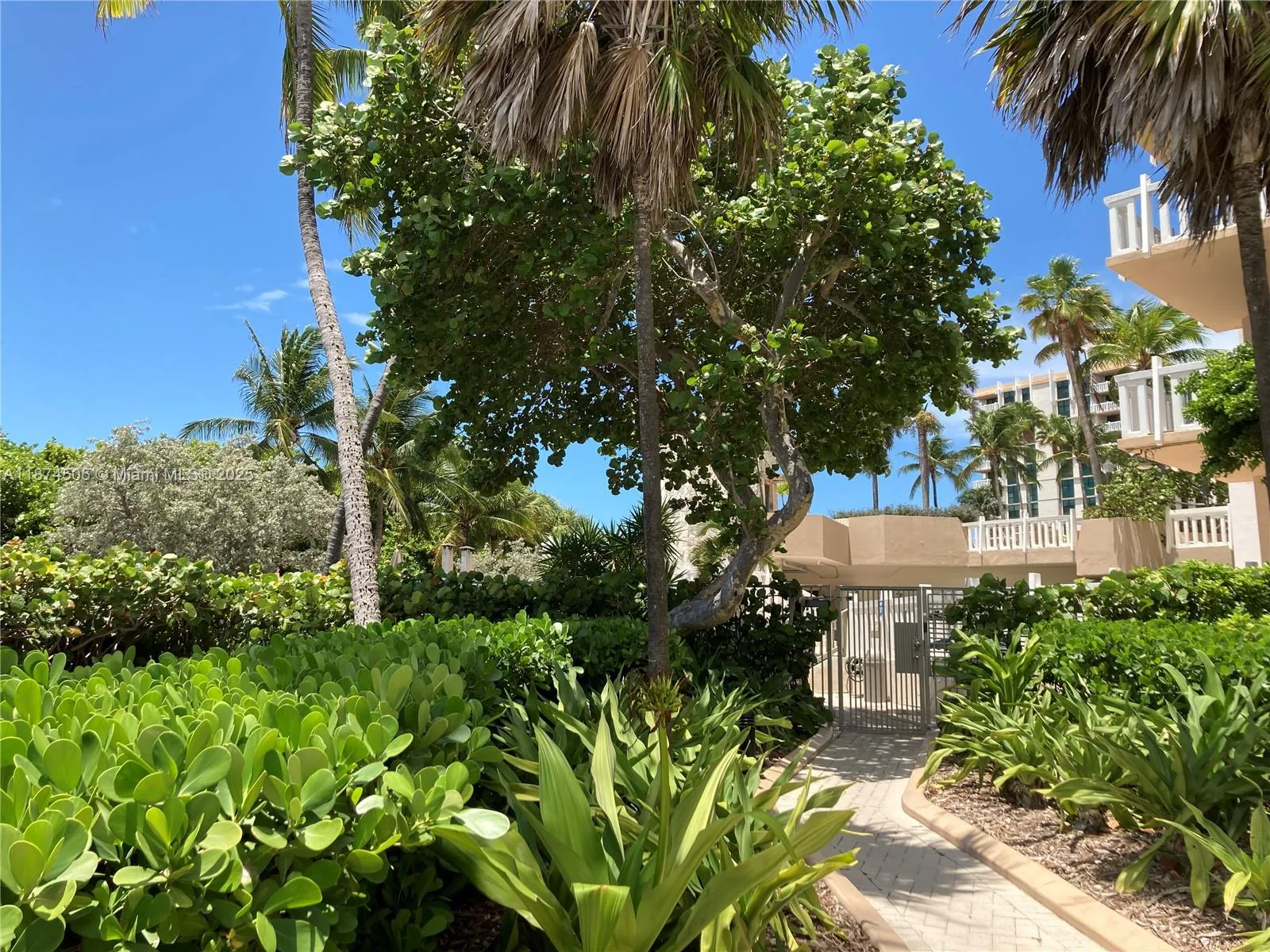 1111 Crandon Blvd # B606, Key Biscayne, FL 33149 photo 5