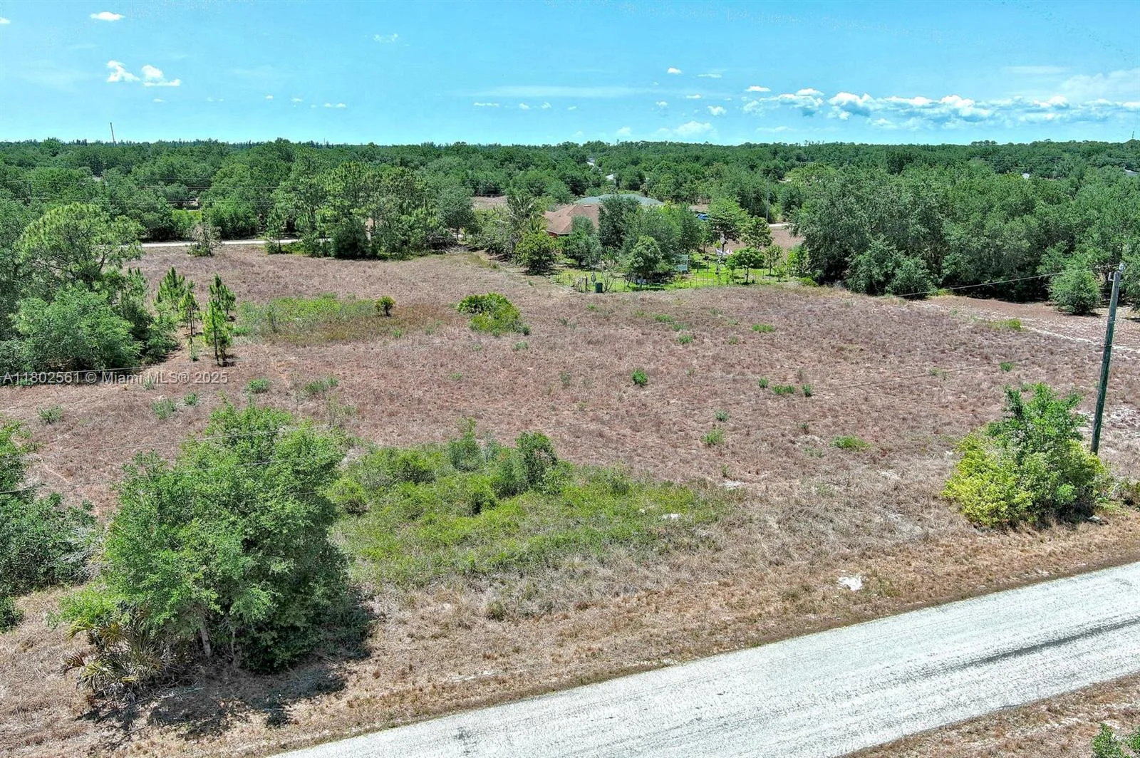 1705 TRUMAN AVE, Lehigh Acres, FL 33972 photo 2
