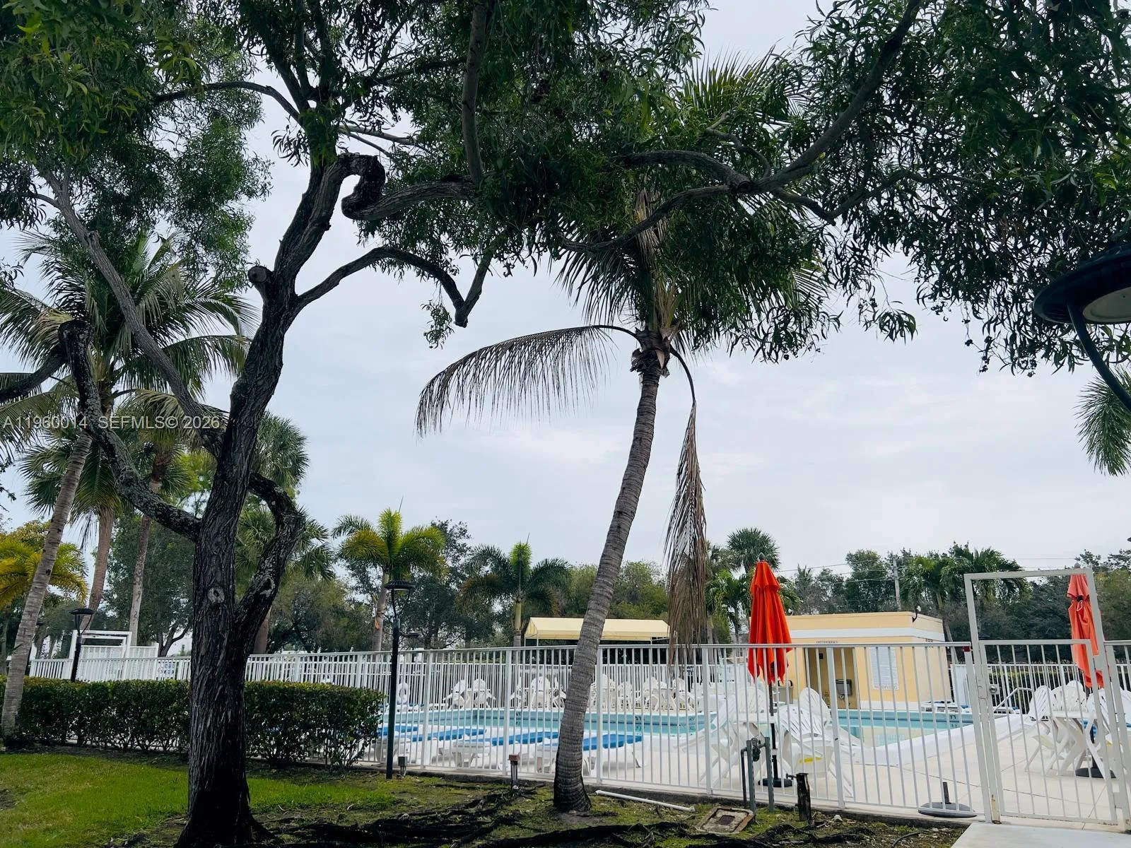 491 Racquet Club Rd # 211, Weston, FL 33326 photo 9