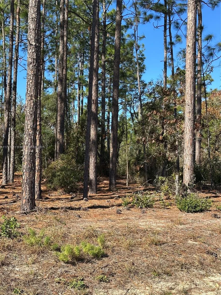 00 SW 209th AVE, Other City - In The State Of Florida, FL 34431 photo 2
