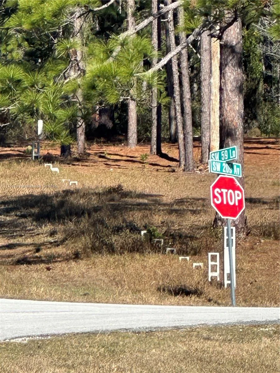 00 SW 209th AVE, Other City - In The State Of Florida, FL 34431 photo 3