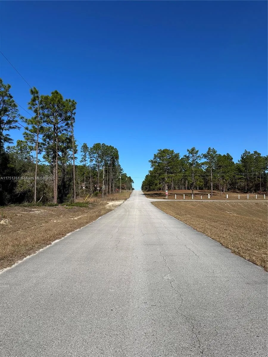 00 SW 209th AVE, Other City - In The State Of Florida, FL 34431 photo 4